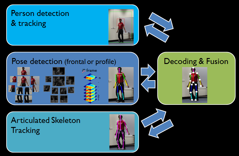 2D Pose Detection and Tracking