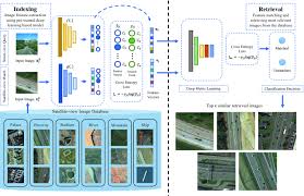 3xPapers accepted at ICONIP 2019