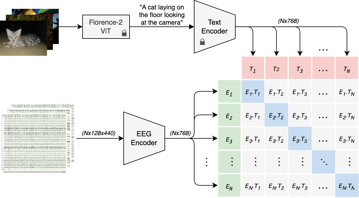 CATVis cross-modal alignment