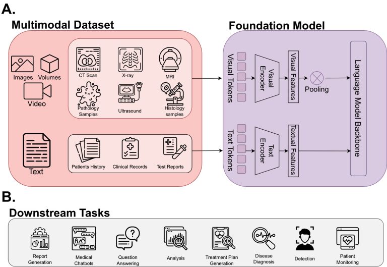 J. Biomed. Inform. 2026 – Multimodal AI in healthcare: Review of vision-language foundation models for real-world medical applications